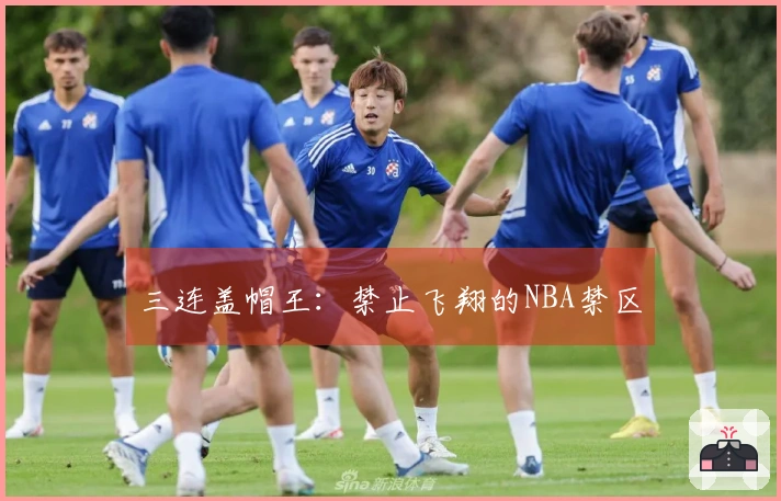 三连盖帽王：禁止飞翔的NBA禁区